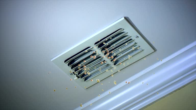 Best Home Air Vent Cleaning  in Oneonta, AL