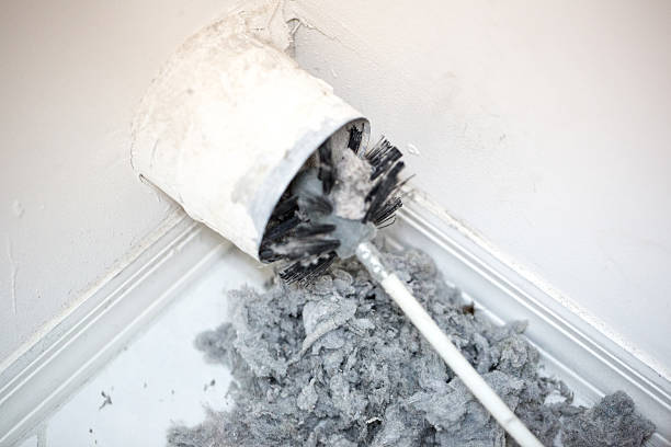 Best Professional Duct Cleaning Services  in Oneonta, AL